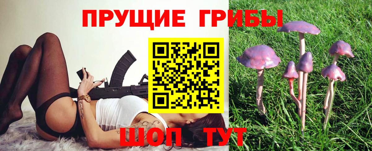 Галлюциногенные грибы мухоморы Петрозаводск